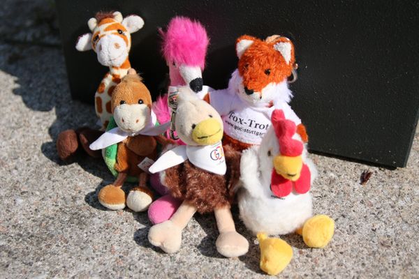 Tanzsportverband Baden-Württemberg e.V.